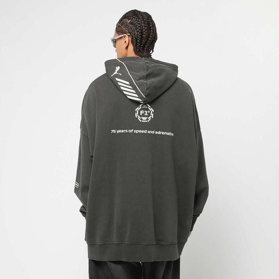 Puma F1 Hoodie Men Hoodies & Sweaters grijs Maat XL Kleding
