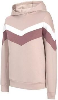 4F Sweater H4L21 BLD020