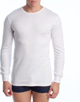 Abanderado Slips A0258-001