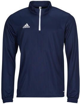 Adidas Blazer