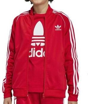 Adidas Originals SS Training Top Junior Better Scarlet Better Scarlet - Foto 2