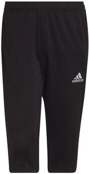 Adidas Performance Trainingsbroek ENT22 3 4 PNT (1-delig) - Foto 11