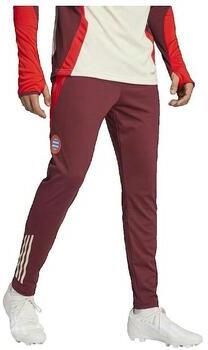 Adidas Broek Pantalon d'entraîne t Bayern Munich 2024 25