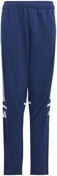 Adidas Broek Sq25 Tr Pnt Y - Foto 1