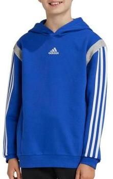 Adidas Capuchon sweaters Colorblock