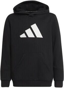 Adidas Capuchon sweaters Future Icons