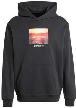Adidas Capuchon sweaters Graphic Hoodie