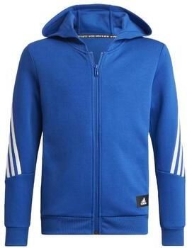 Adidas Capuchon sweaters HN6173