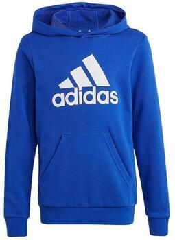 ADIDAS SPORTSWEAR Hoodie met labeldetail model