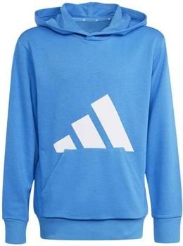 Adidas Capuchon sweaters J Bl Ft Hd 280