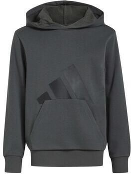 Adidas Capuchon sweaters J Bl Ft Hd 280