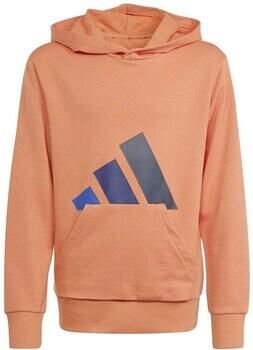 Adidas Capuchon sweaters KD8456000