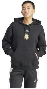Adidas Capuchon sweaters Sweat à capuche Argentina ample - Foto 1