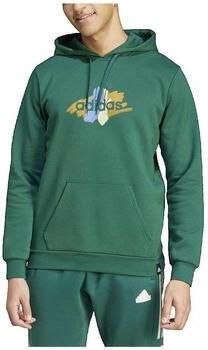Adidas Capuchon sweaters Sweat à capuche Codes Graphic