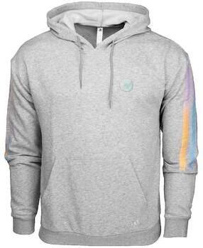 Adidas Capuchon sweaters Sweat à capuche Donovan Mitchell gris
