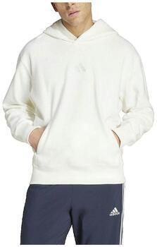 Adidas Capuchon sweaters Sweat à capuche Elevated All Szn Terry Loop