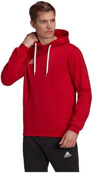 Adidas Capuchon sweaters Sweat à capuche Entrada 22 coton