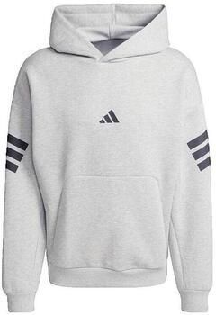 Adidas Capuchon sweaters Sweat à capuche Future Icons 3 Stripes