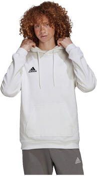 Adidas Capuchon sweaters Sweatshirts Entrada 22 molleton doux