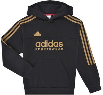 Adidas Capuchon sweaters Tiro Nations Pack Hood
