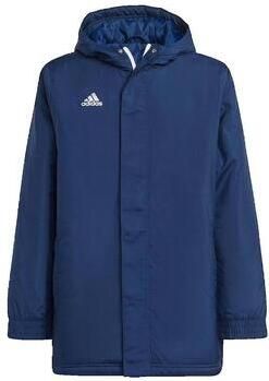 Adidas Perfor ce Entrada 22 Stadium Jack - Foto 3