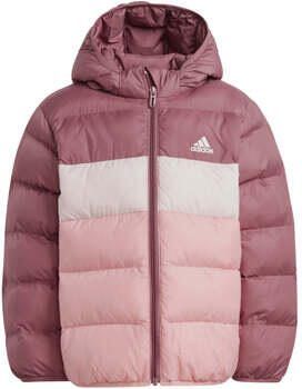 Adidas Sportswear Donsjack LK SD JKT