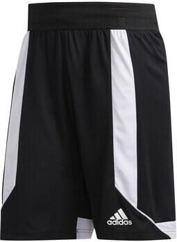 Adidas Korte Broek Creator 365