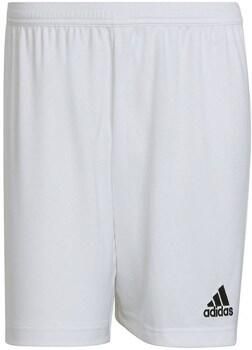 Adidas Performance Entrada 22 Short - Foto 3