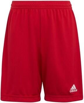 Adidas Performance Junior sportshort rood Sportbroek Jongens Meisjes Gerecycled polyester 116