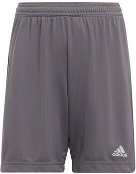Adidas Performance Junior sportshort grijs Sportbroek Jongens Meisjes Polyester 140