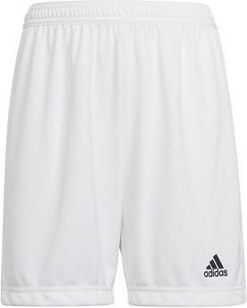 Adidas Performance Junior sportshort wit Sportbroek Jongens Meisjes Gerecycled polyester 140