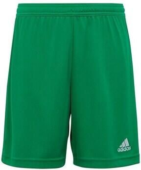 Adidas Perfor ce Junior Sportbroek Groen Polyester Effen 140
