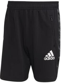 Adidas AEROREADY Designed to Move Sport Motion Logo Short