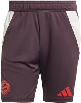 Adidas FC Bayern München Tiro 24 Training Short Bordeaux- Heren Bordeaux