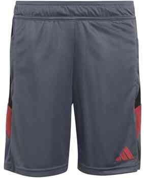 Adidas Korte Broek KC7091
