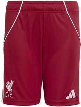 Adidas Liverpool Fc 25 26 Thuisshort Kids