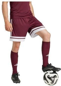 Adidas Korte Broek Short Squadra 25 Bordeaux