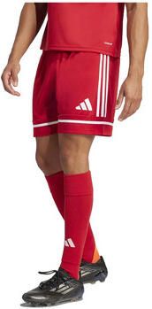 Adidas Korte Broek Shorts Squadra 25 100% polyester recyclé