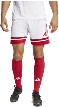 Adidas Korte Broek Shorts Squadra 25 100% recyclé