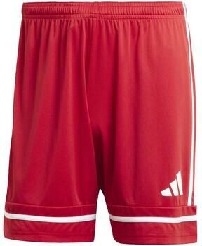 Adidas Korte Broek Squa25 Sho M