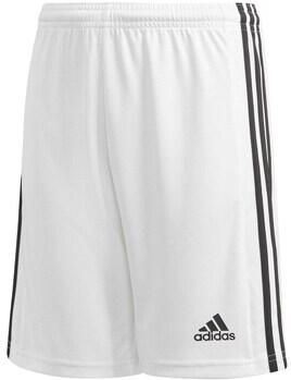 Adidas Perfor ce Junior Squad 21 sportshort wit zwart Sportbroek Polyester 176