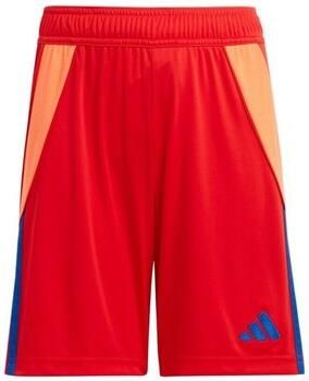 Adidas Korte Broek Tiro 24