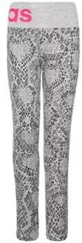 Adidas Legging AB4502