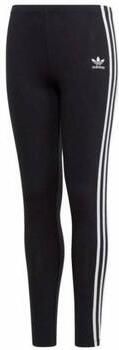 Adidas Legging dv2874