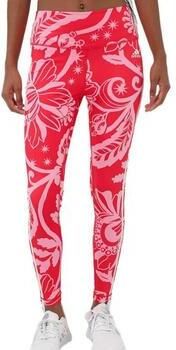 Adidas Legging Farm