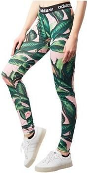 Adidas Legging Tight Legging