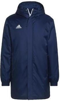 Adidas Parka Jas Veste de survête t Entrada 22 Stadium