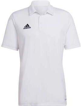 Adidas Polo Shirt Korte Mouw ENT22 POLO - Foto 9