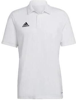 Adidas Polo Shirt Korte Mouw Polo Entrada 22 ches courtes blanc