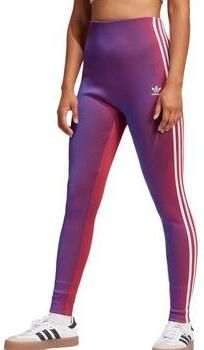 Adidas Originals Leggings met bedrukt logo Multicolor Dames - Foto 6